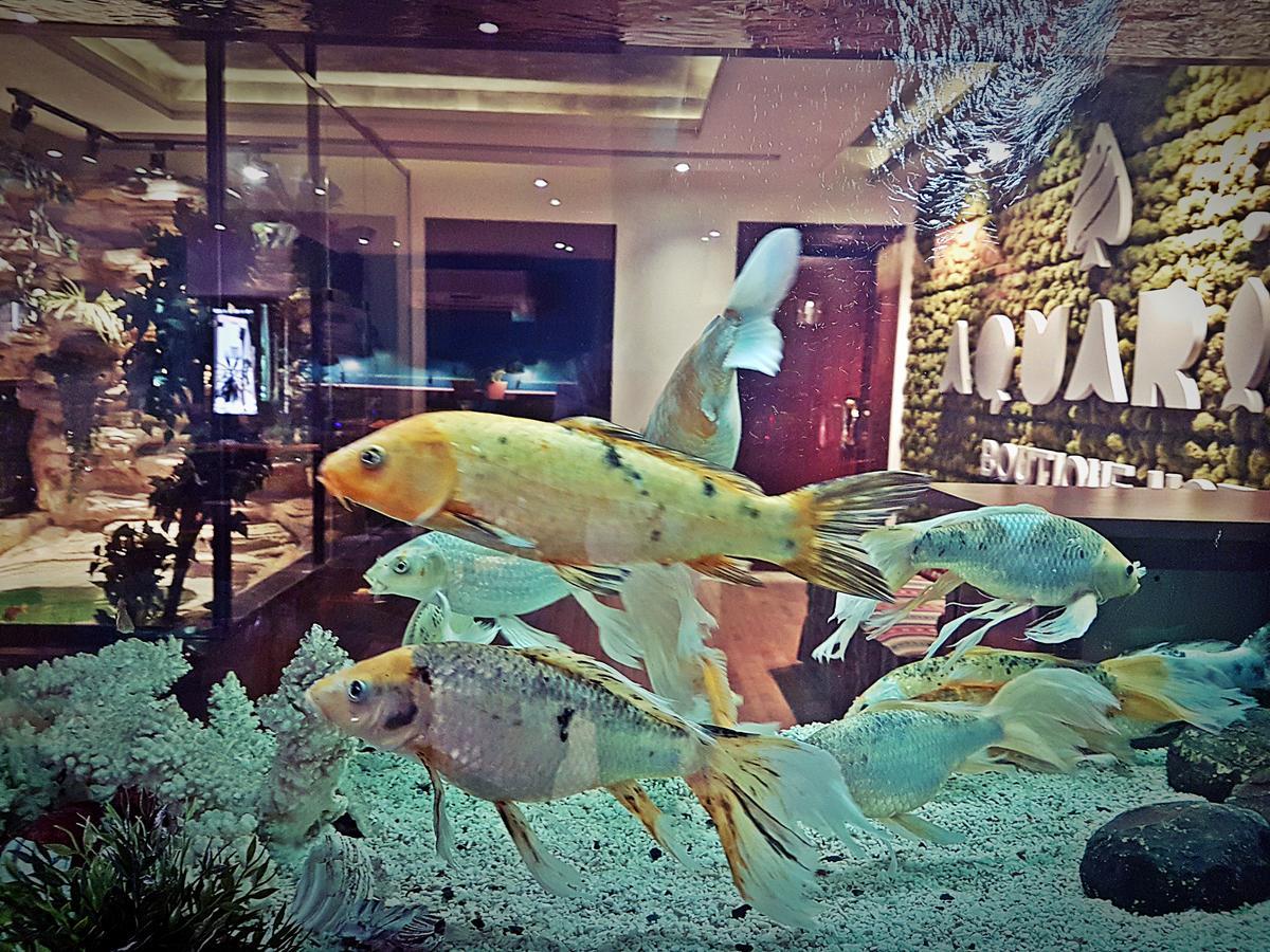 Aquarium Hotel Riaad Buitenkant foto